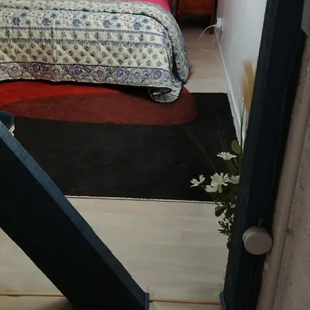 Duplex Rez-de-jardin 300m De Port, Commerces, لو بولين